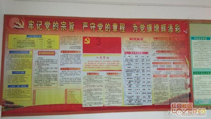 月光影视